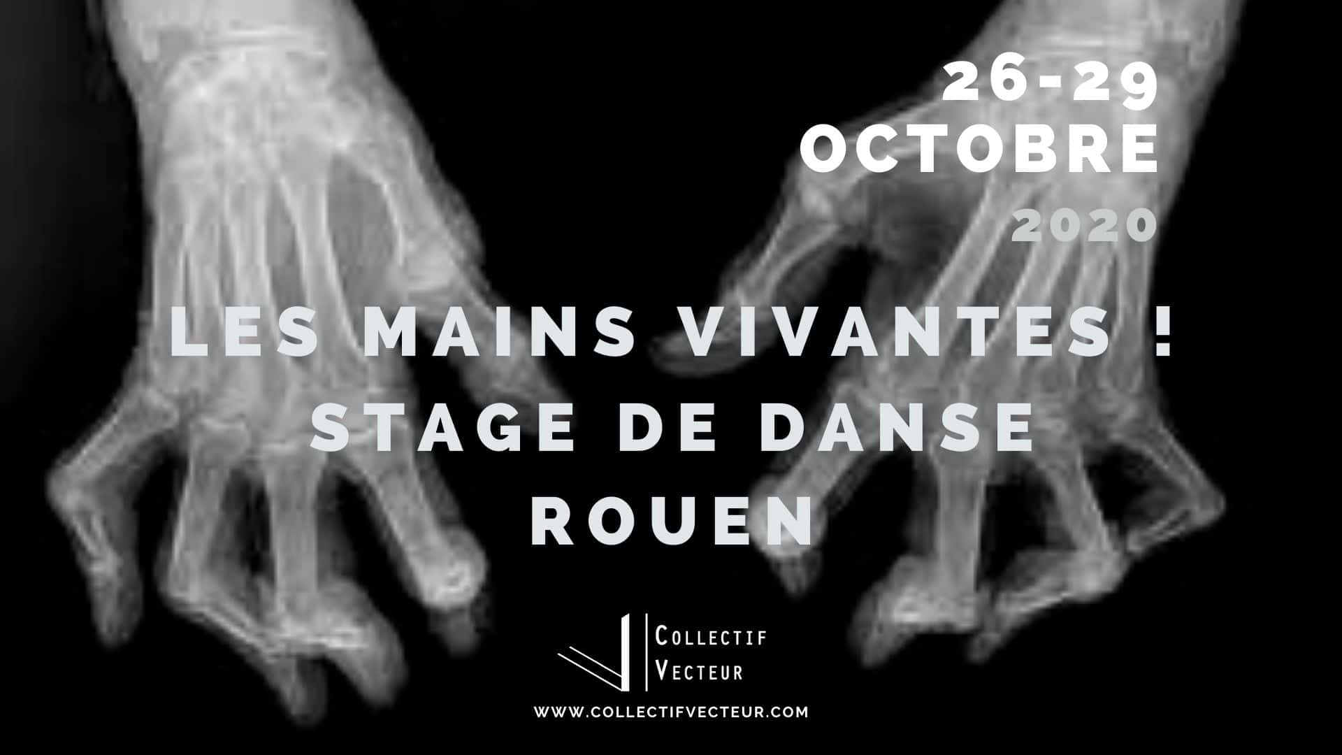 les mains vivantes remous collectif vecteur danse Rouen atelier stage
